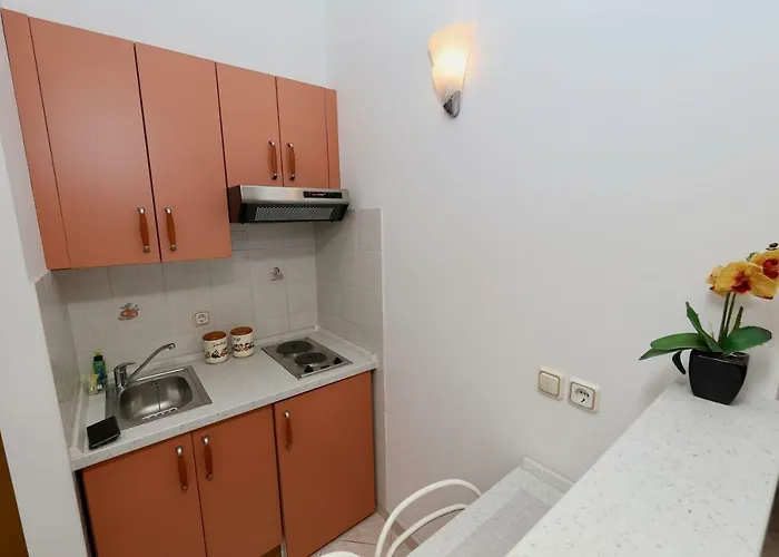 Ribicic Affittacamere