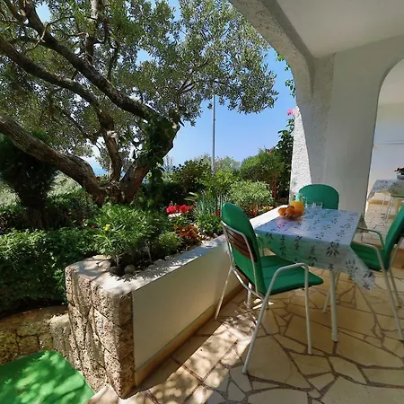 Ribicic Guest house 3*