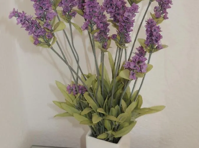 Ribicic Pensionat 3*